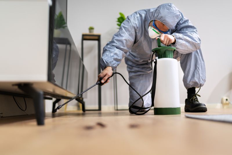 Commercial Fumigation in Marietta, GA