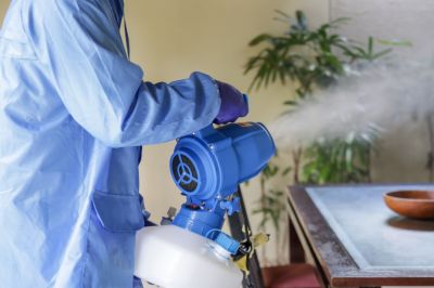 Fumigation Process