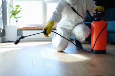 Spider Control Service in Denton, TX