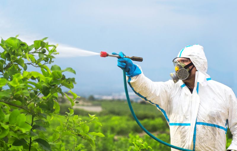 Spider Fumigation Service in Wilmington, NC