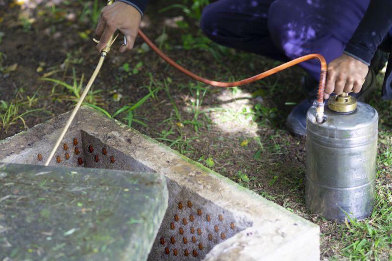 Spider Fumigation Service in Toledo, OH